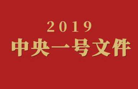 中央一號文件多維度全面解讀 帶你讀懂新政策