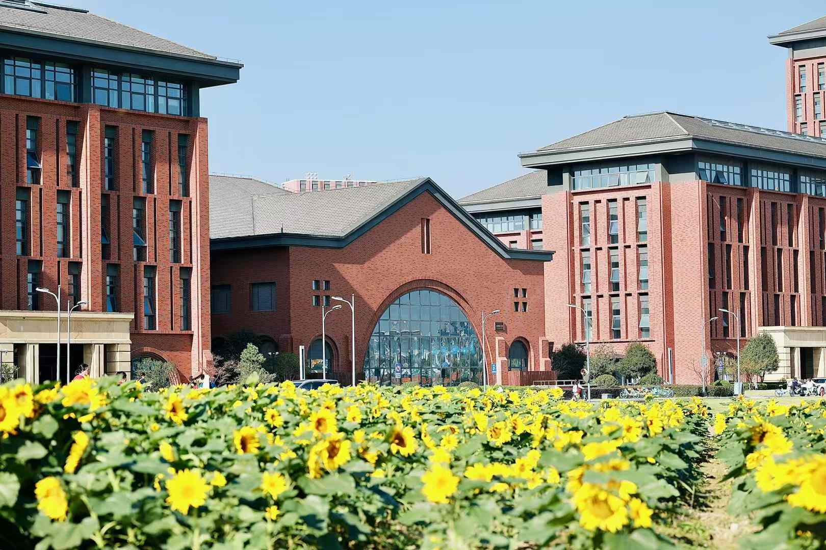 2025年ABC中國大學排名發(fā)布！浙大并列第3