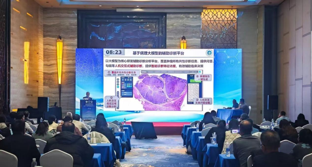 浙大病理AI助手，3秒鎖定癌癥病灶！
